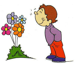 smell