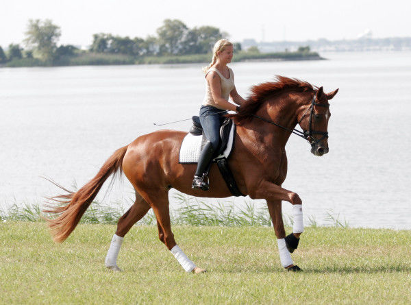 Ride