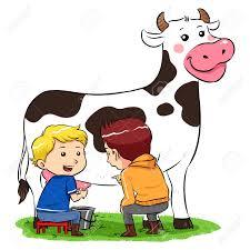 Milk