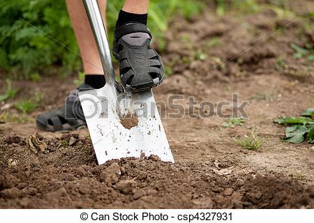 dug - dig