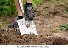 Dig