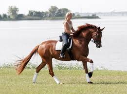 RideRide