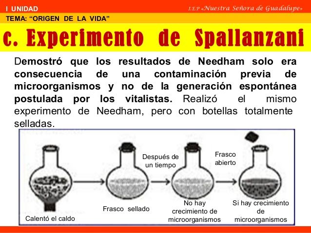 teorias del origen de la vida