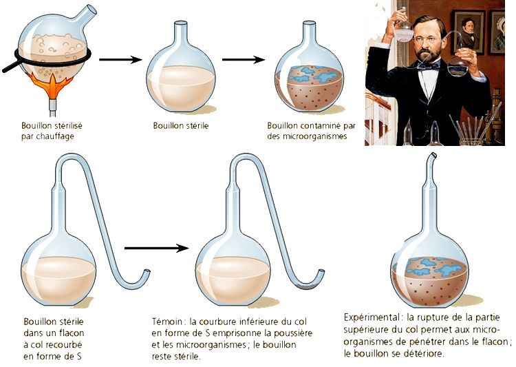 teorias del origen de la vida