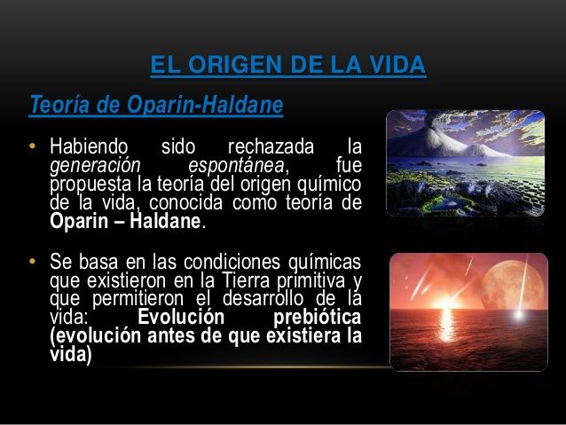 teorias del origen de la vida
