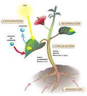 teorias del origen de la vida