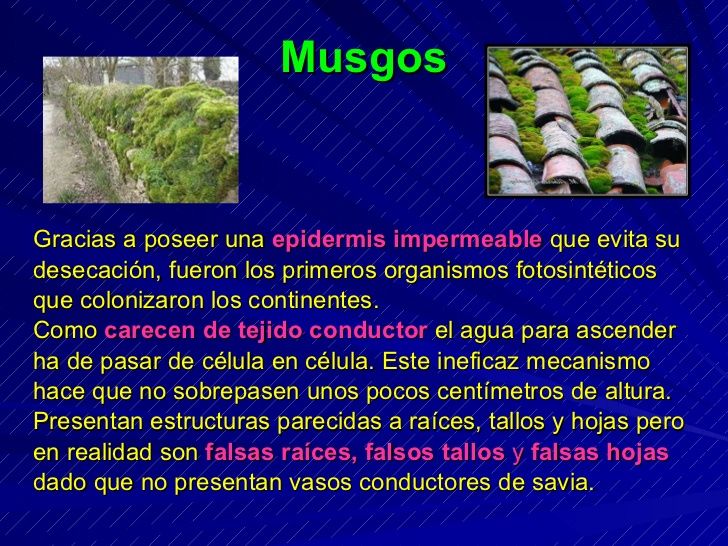 teorias del origen de la vida