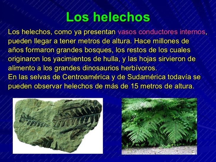 teorias del origen de la vida