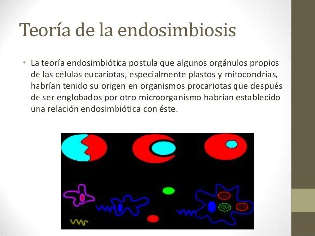 teorias del origen de la vida