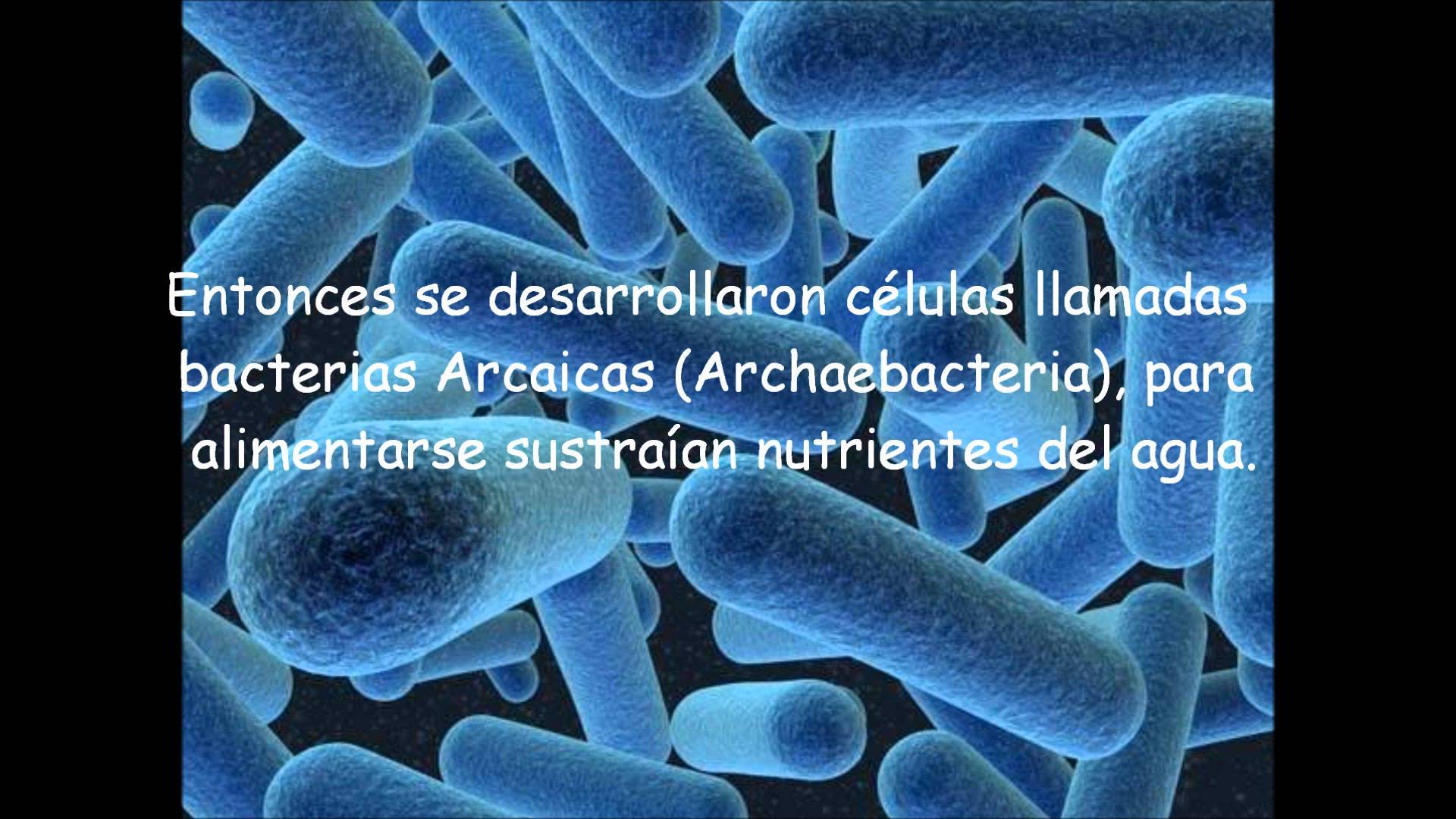 teorias del origen de la vida