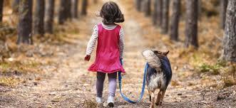 walk caminar