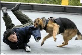 attack atacar