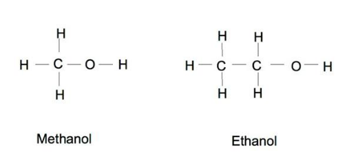 Draw the structual formula of methanol and ethanol
