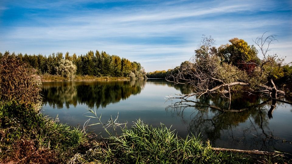 Flood Mitigation and Prevention