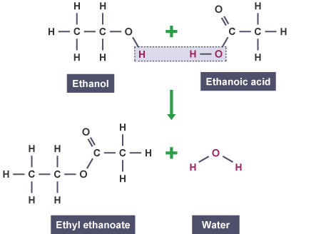How is an ester formed?