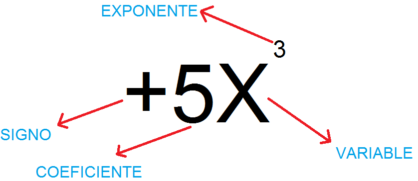 Identificar Términos Algebraicos