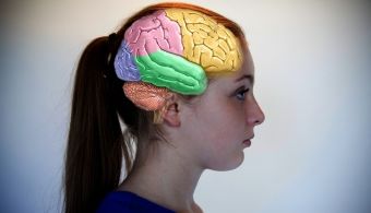 Etapas del desarrollo cognitivo - Jean Piaget