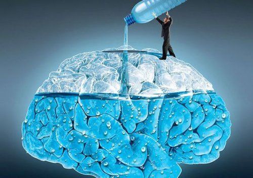 Neuromito