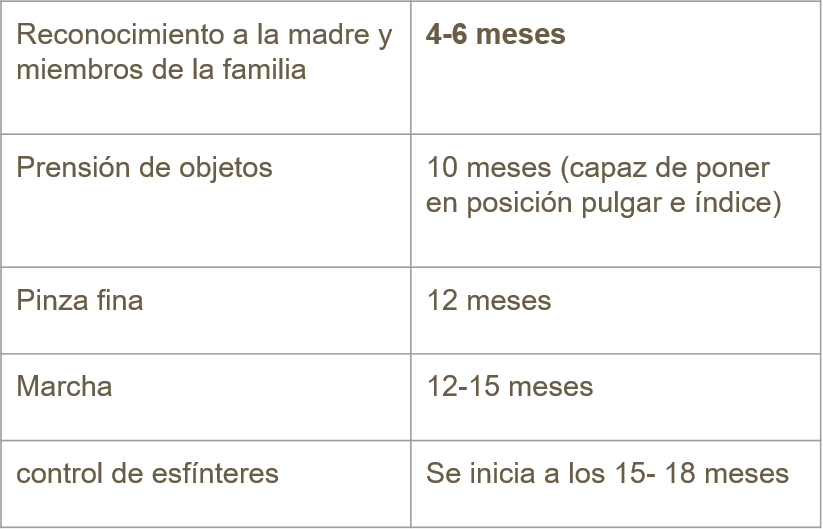 LENGUAJE -4 meses: Balbuceo, Si ó No -8 meses:Sílabas, ma-pa-da -10 meses: une sílabas ma-má, pa-pá -12 meses: cuenta con 10 palabras sen...