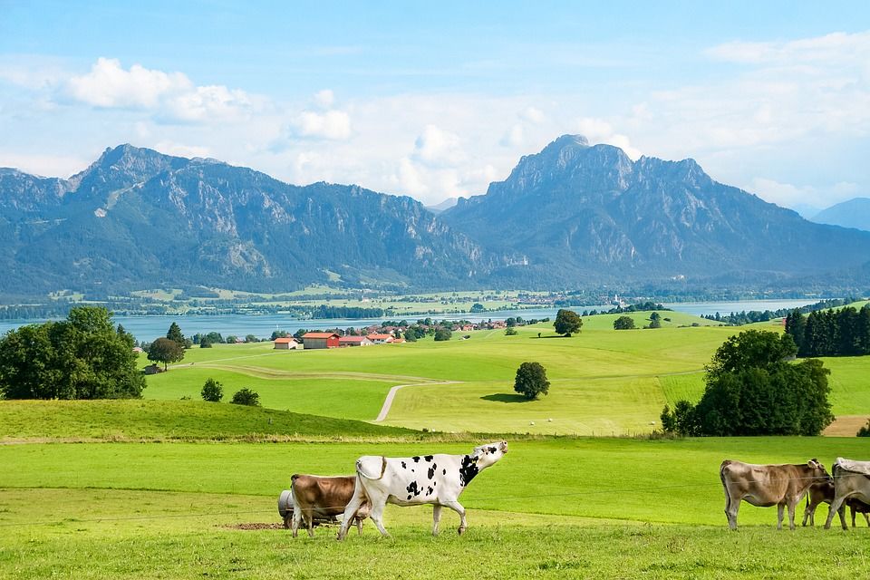 Food Resource Management