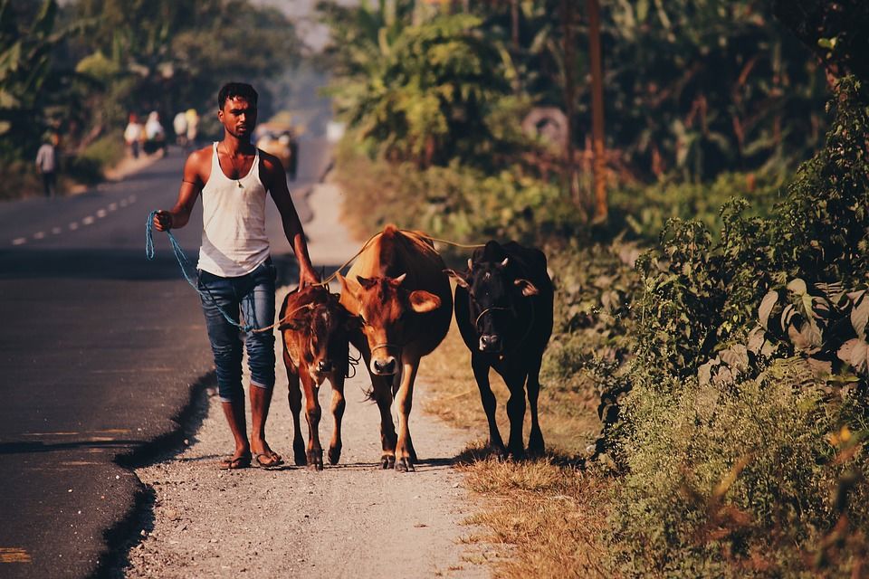 Strategies to Tackle Uneven Development