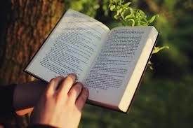 Leer