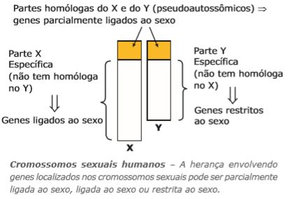 Bio 55- Herança Ligada aos Cromossomos Sexuais
