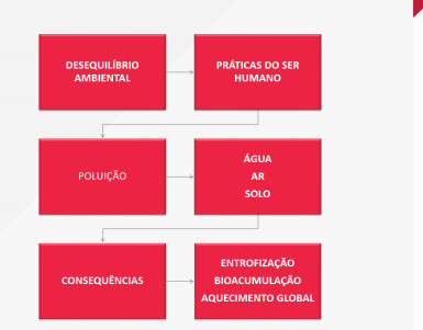 Mapa conceitual