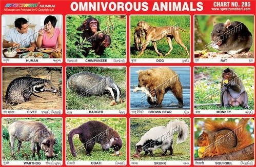 Omnivores