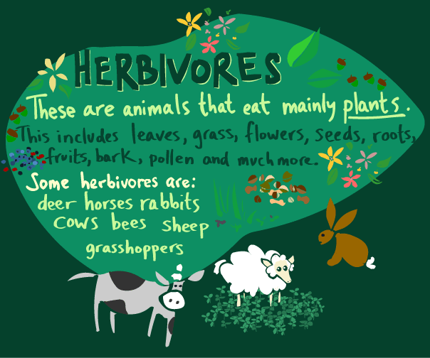 Herbivores