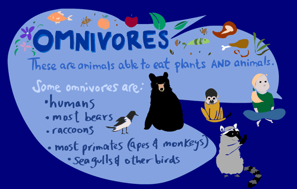 Omnivores