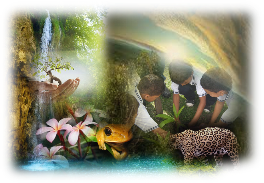 Ecologia humana