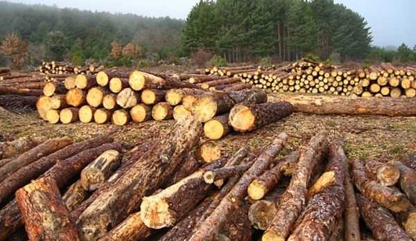 Ecologia humana