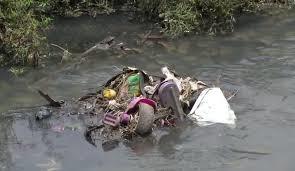 Ecologia humana