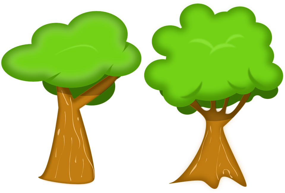 The Carbon Cycle