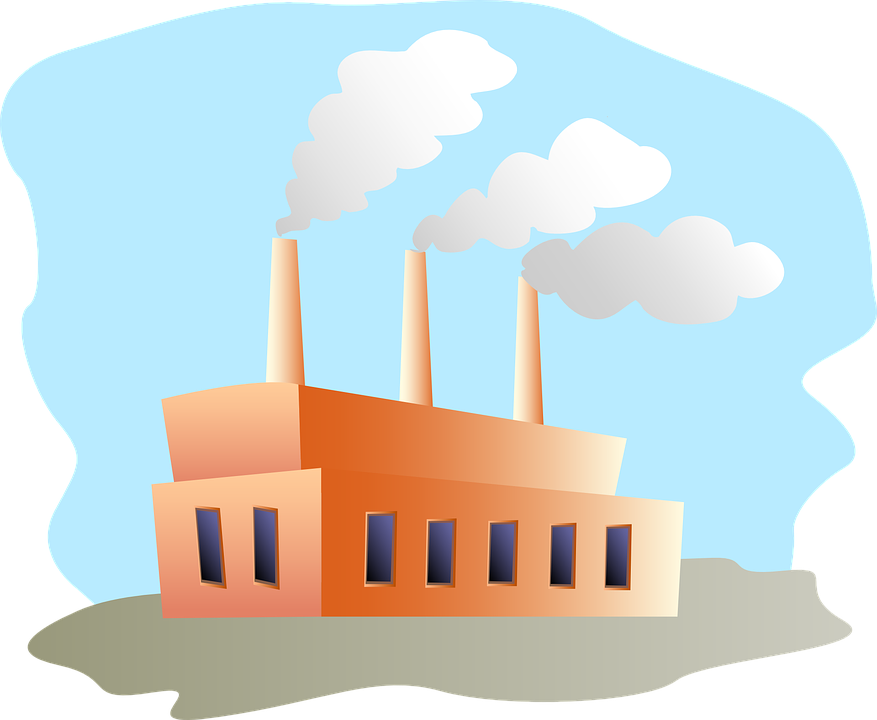 The Carbon Cycle