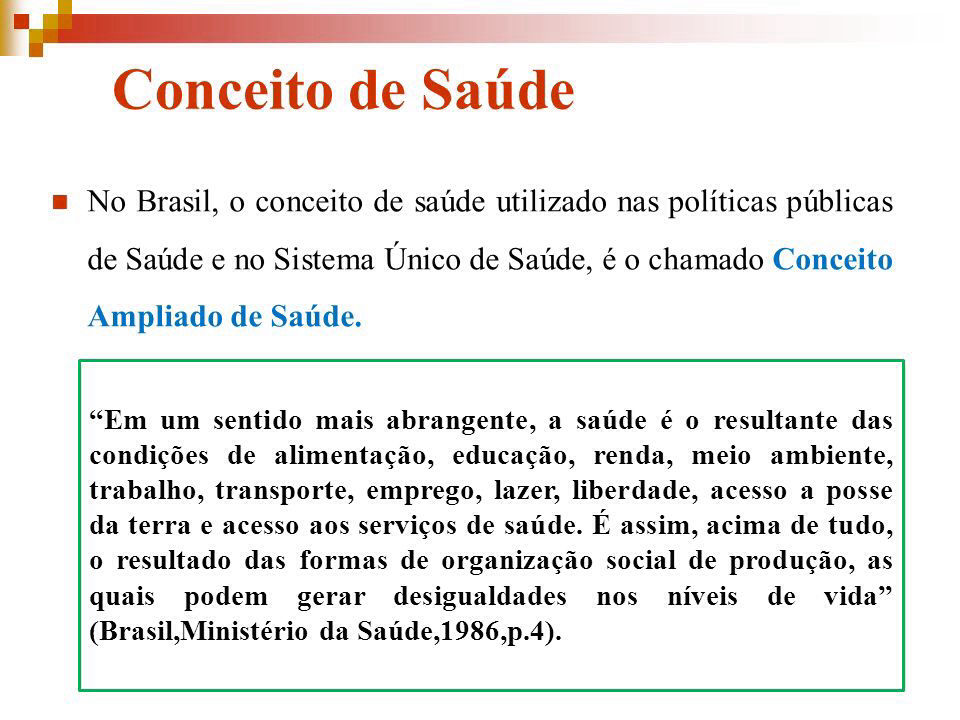 Insira o texto aqui...