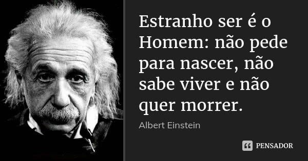 Insira o texto aqui...