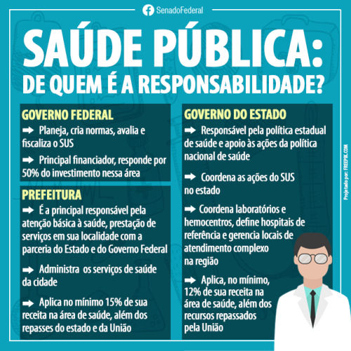 Insira o texto aqui...