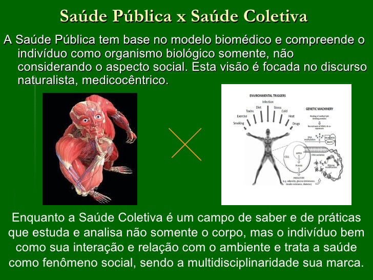 Insira o texto aqui...
