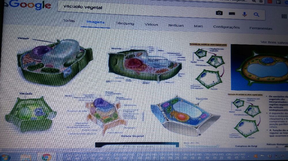 Biologia celular