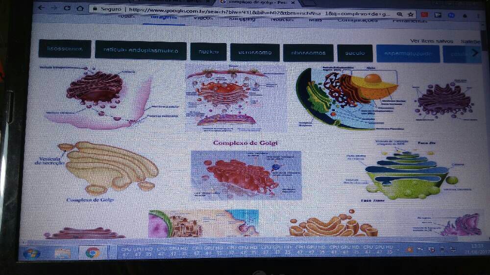 Complexo de Golgi