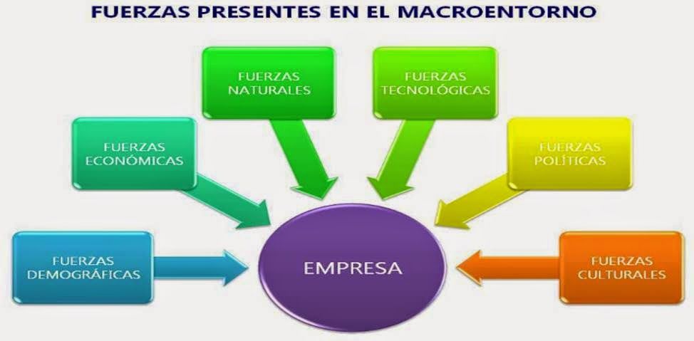 Explorando el medio ambiente externo y el interior de la organización.