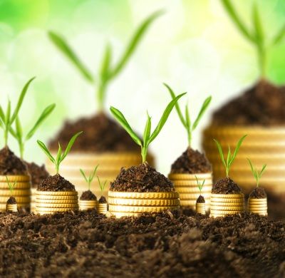 LEY GENERAL DEL EQUILIBRIO ECOLÓGICO Y LA PROTECCIÓN AL AMBIENTE (LGEEPA)