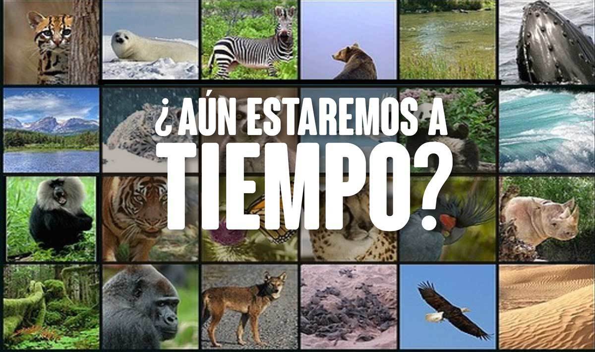 Impactos del turismo