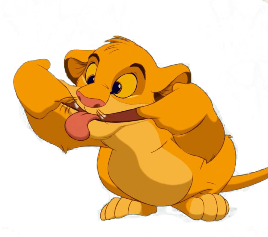 REINO ANIMALIA