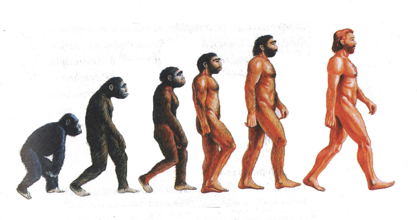 LA PREHISTORIA EN LA PENÍNSULA IBÉRICA