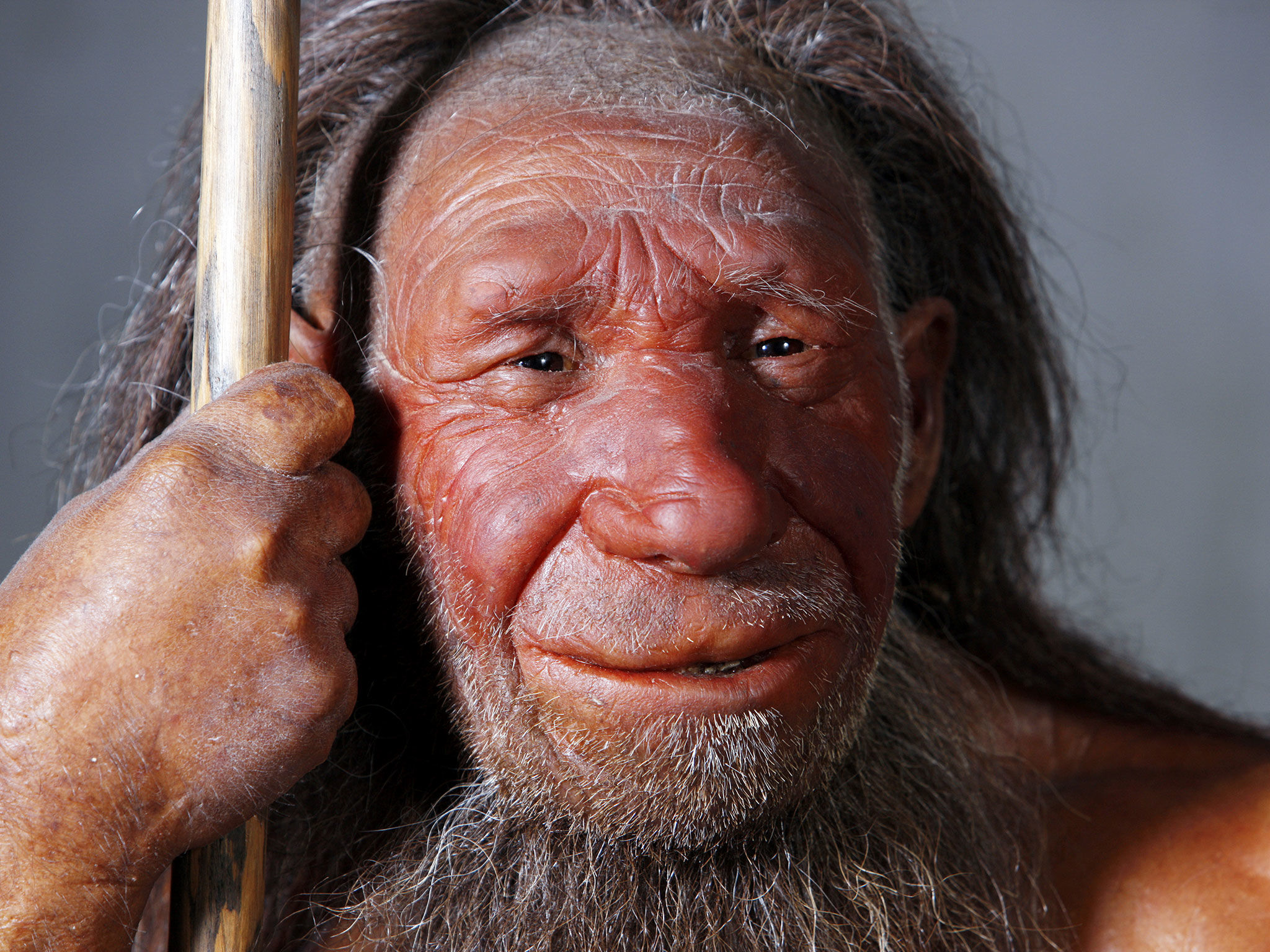 LA PREHISTORIA EN LA PENÍNSULA IBÉRICA