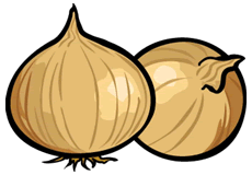 Onion
