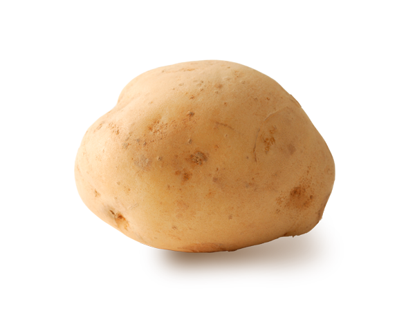 Potato